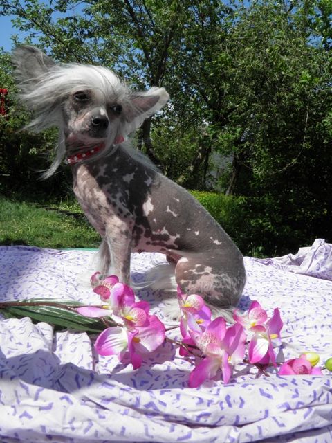 Goldy Khanovna Aleksa's House