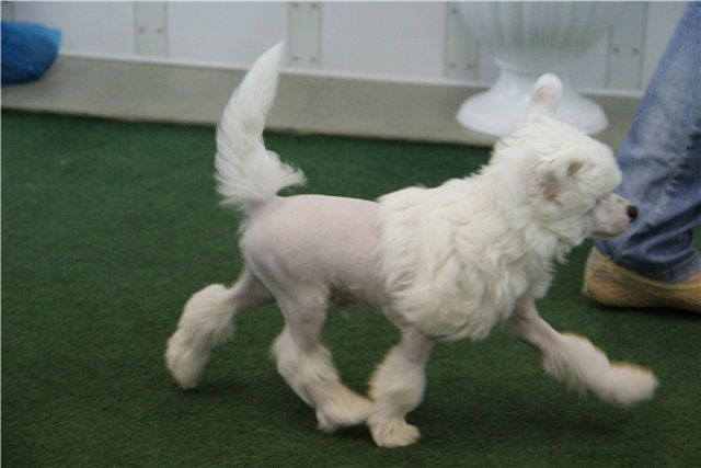 Heppi Rehn William Arthur Philippe Luis