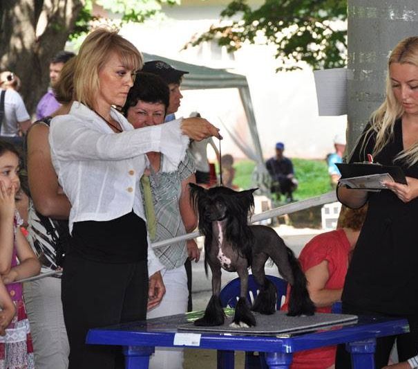 Luxury For You In Love Eclipse