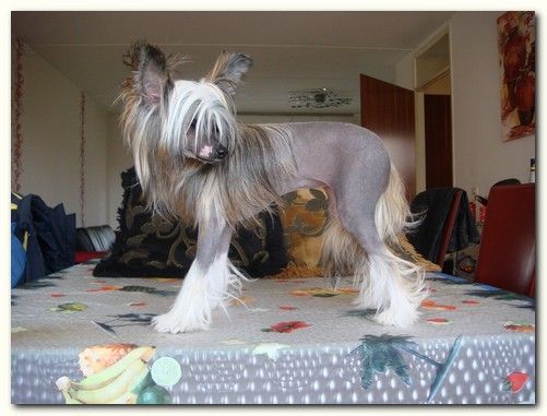 Yane Hot Shot Of Gizzy's Home