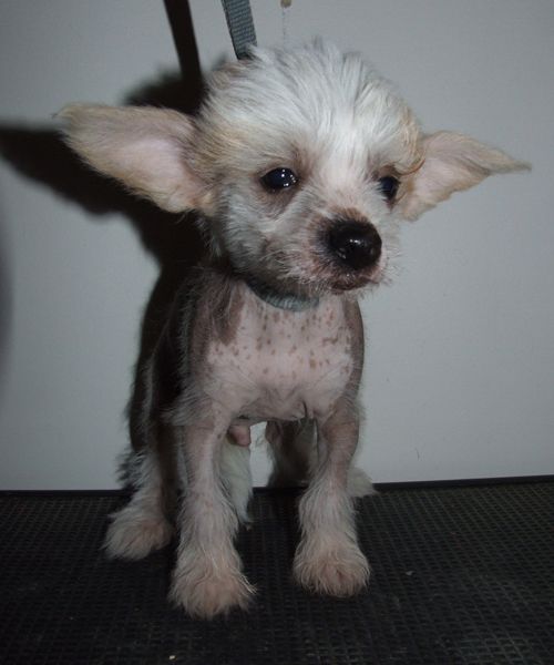 Superlines Irresistible  Juan