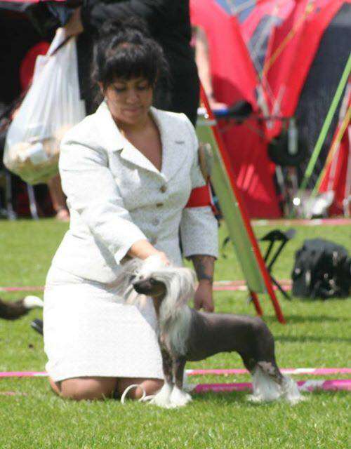 Famrus Mysterious Power Realizes Dream