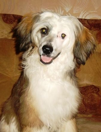 Solveig Goro Yueshen