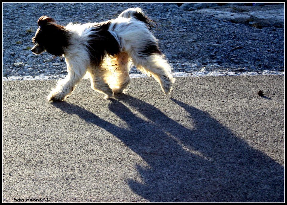 Eugenios Ludvig Van Betvoven