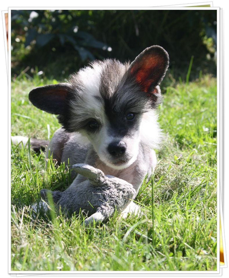 Frenja Take Me Just For Fun