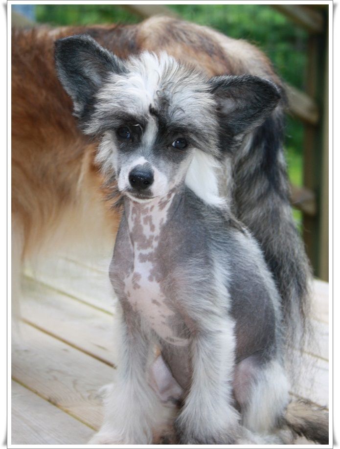 Frenja  Just You And Me