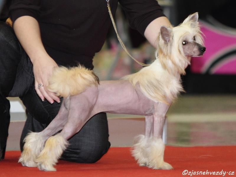 Kenaniah La Compagnie D'les Amies