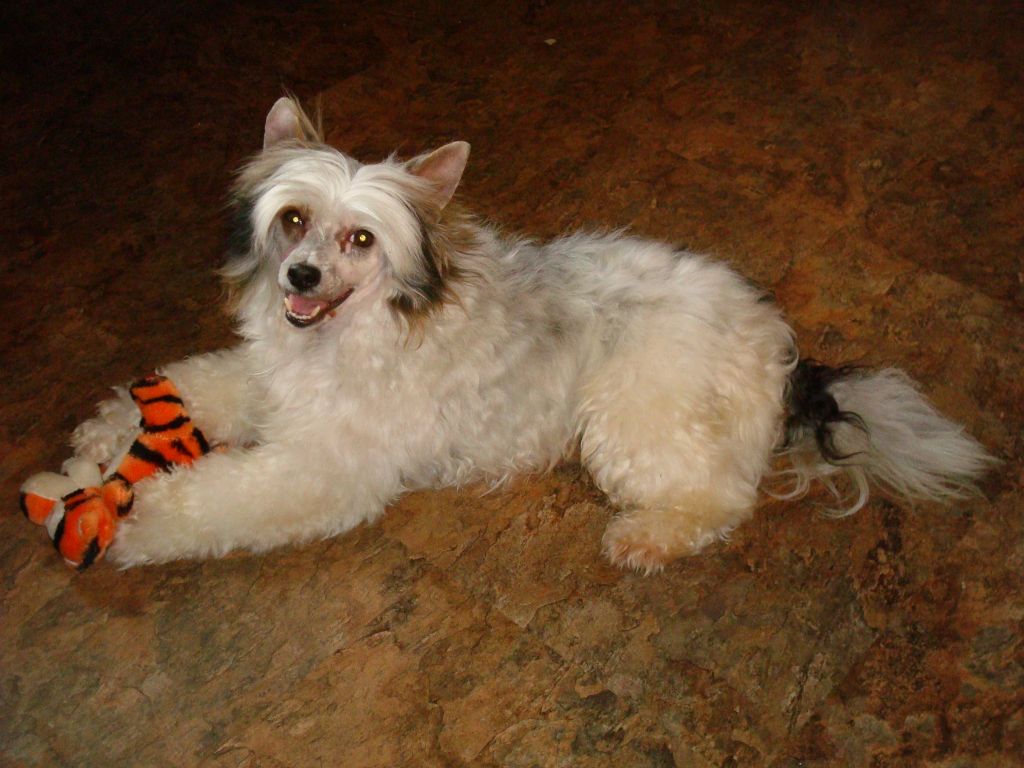 Castlecoves Attitude Is Everything