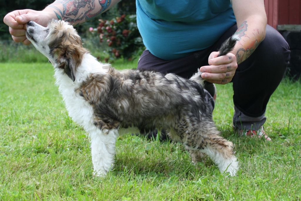 Love Bites Heaven's On Fire