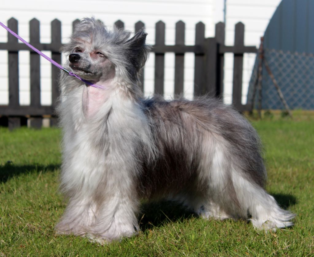 Dresscode-Zero Love Lyrics