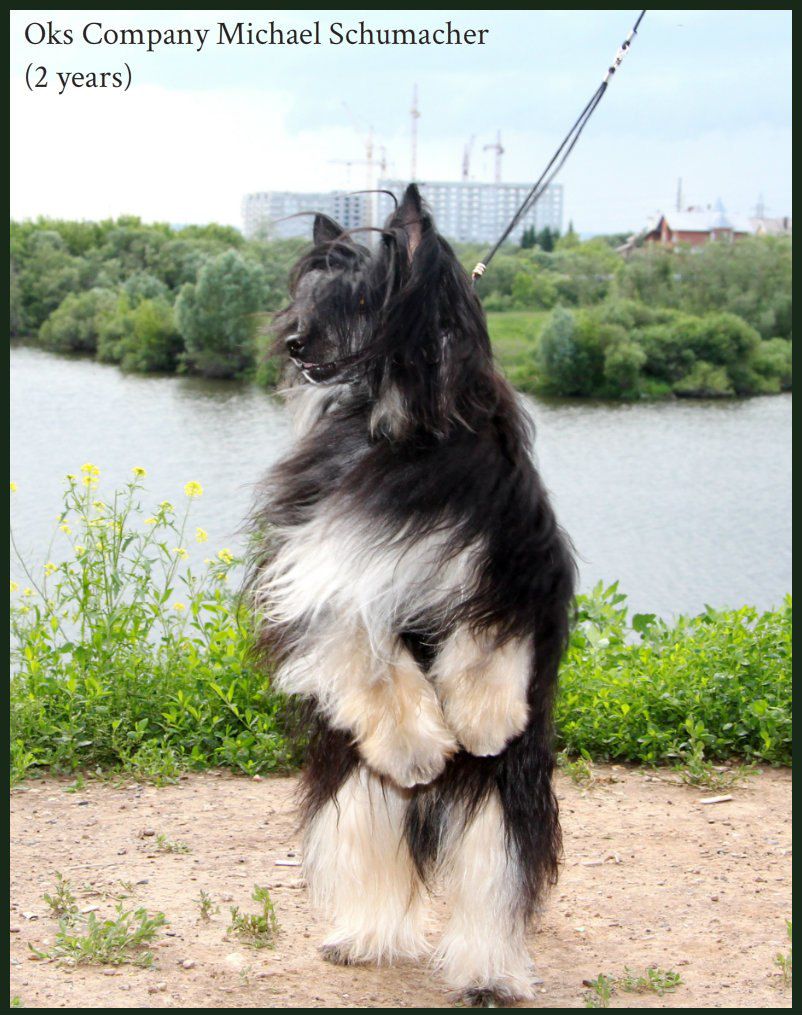 Oks Company Michael Schumacher