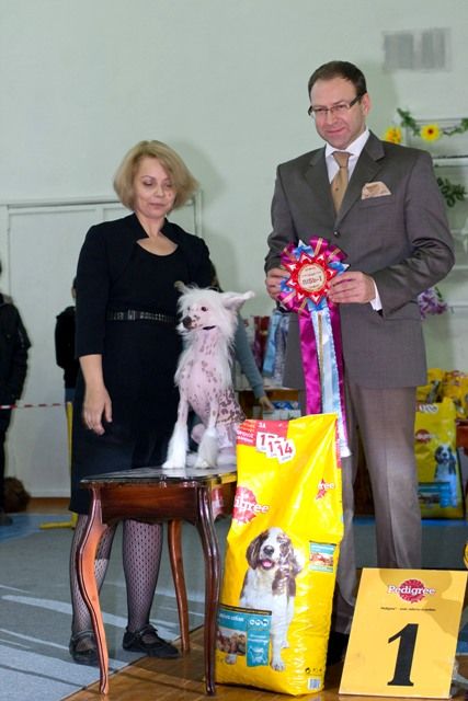 Unchained iz Diamond Sity