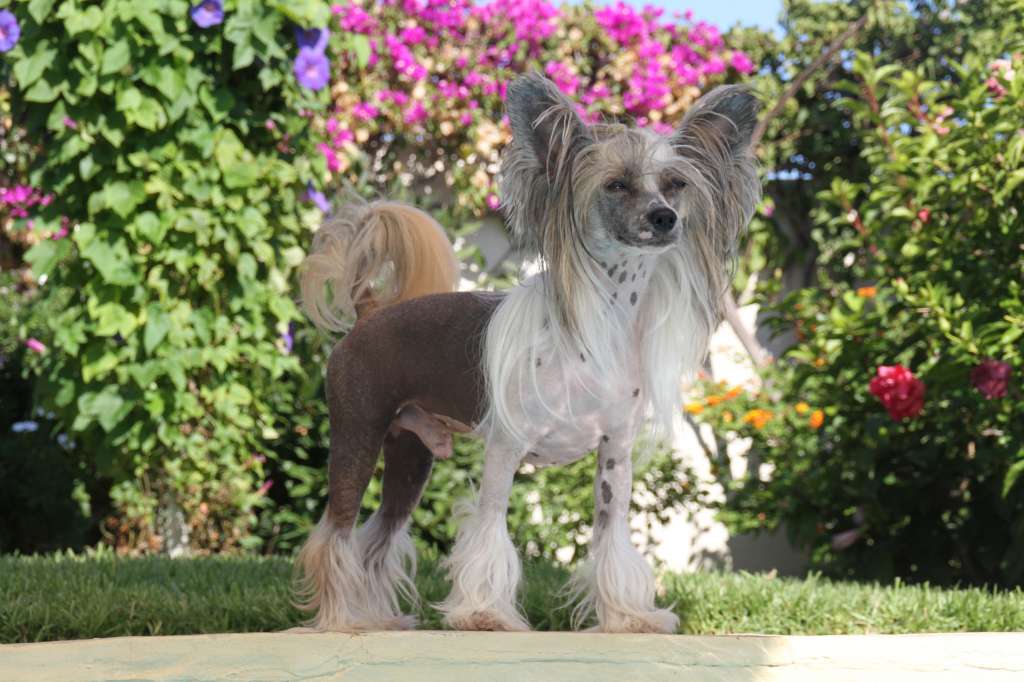 Omegaville Back In Town