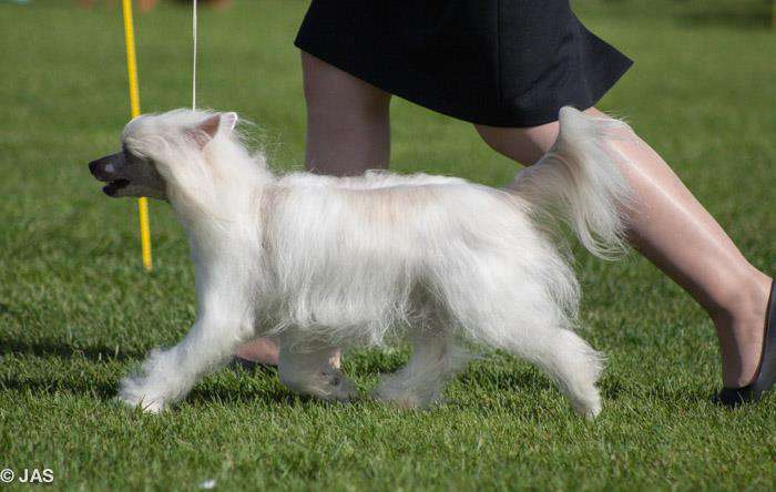 Marppulan AamuUnelias