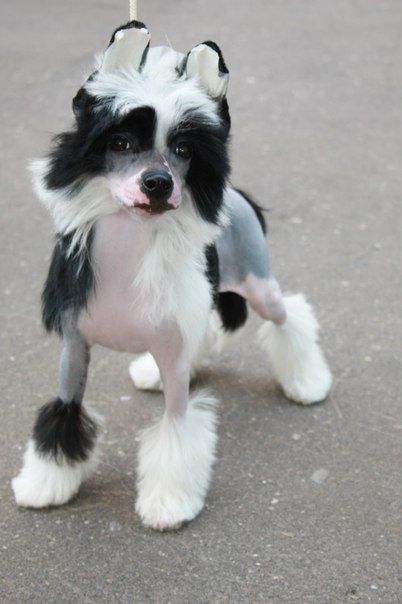 Evrika Podarok Sud'bi