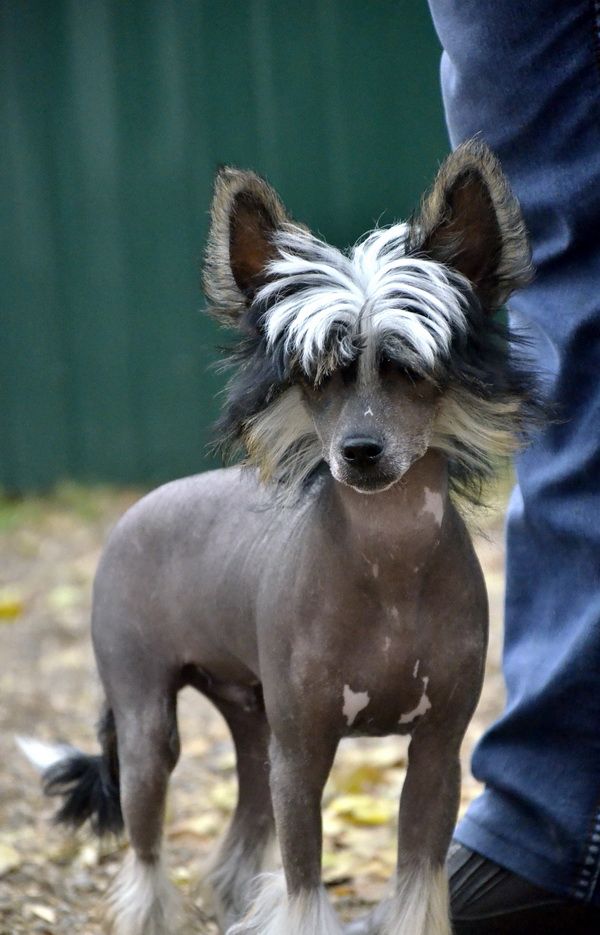 Elance Louange Gai Mateo