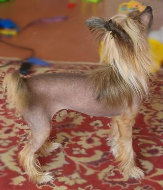 TSarina Best Viktoriya