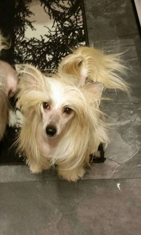 Angelika Nahaci z Haliparku