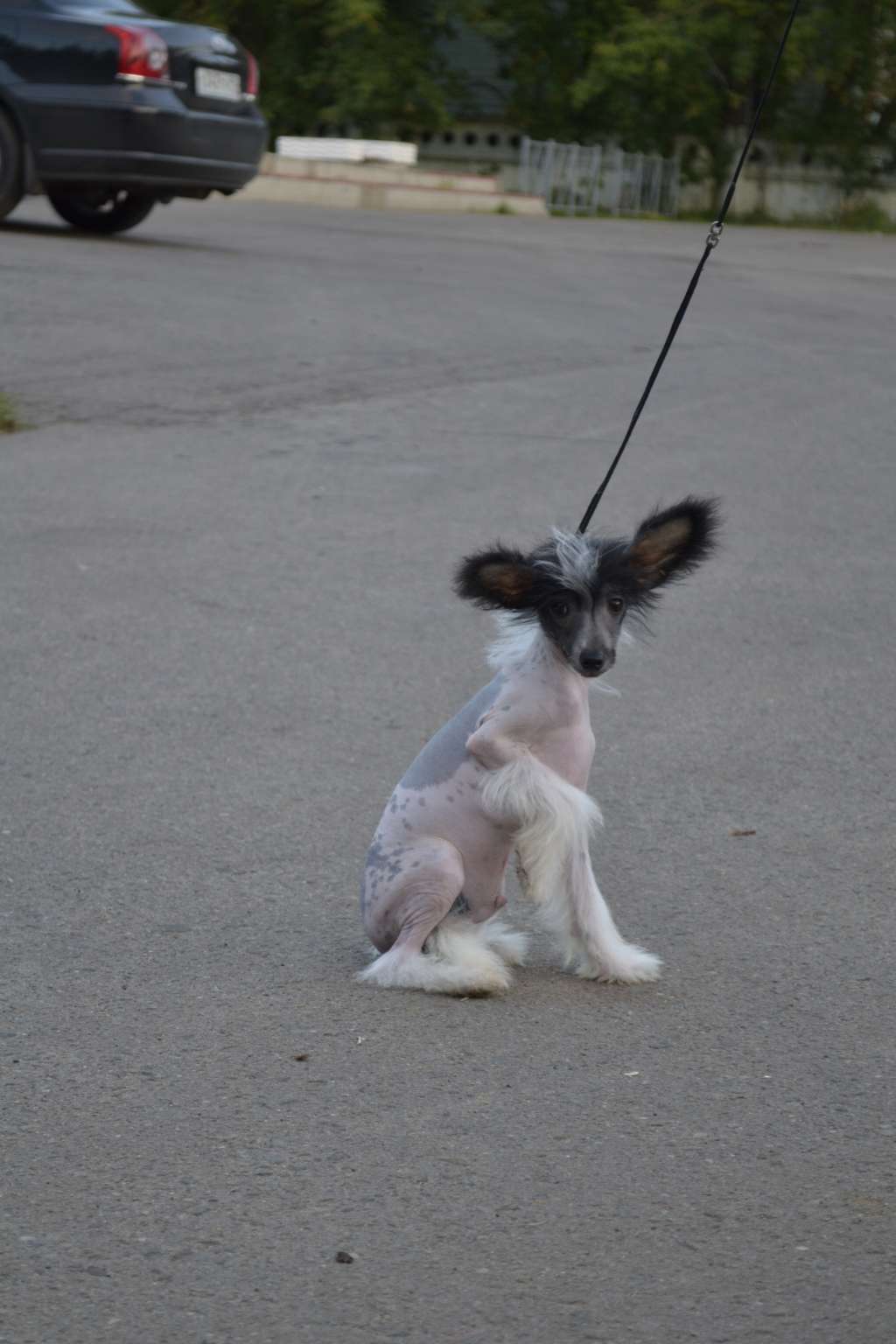 Shelcovij Shlejf Kuala Lumpur