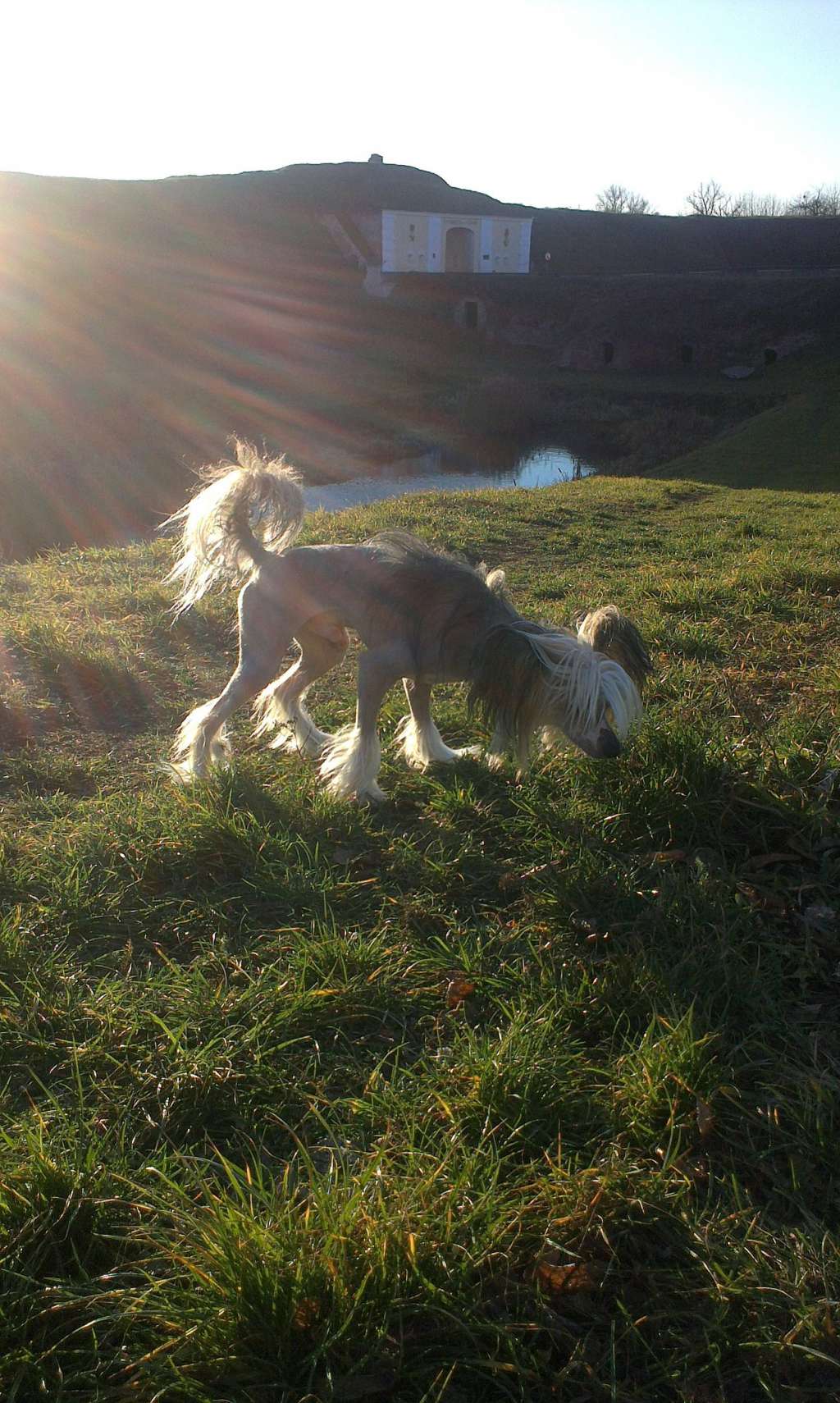 Frederik Argos Bonus Westtai