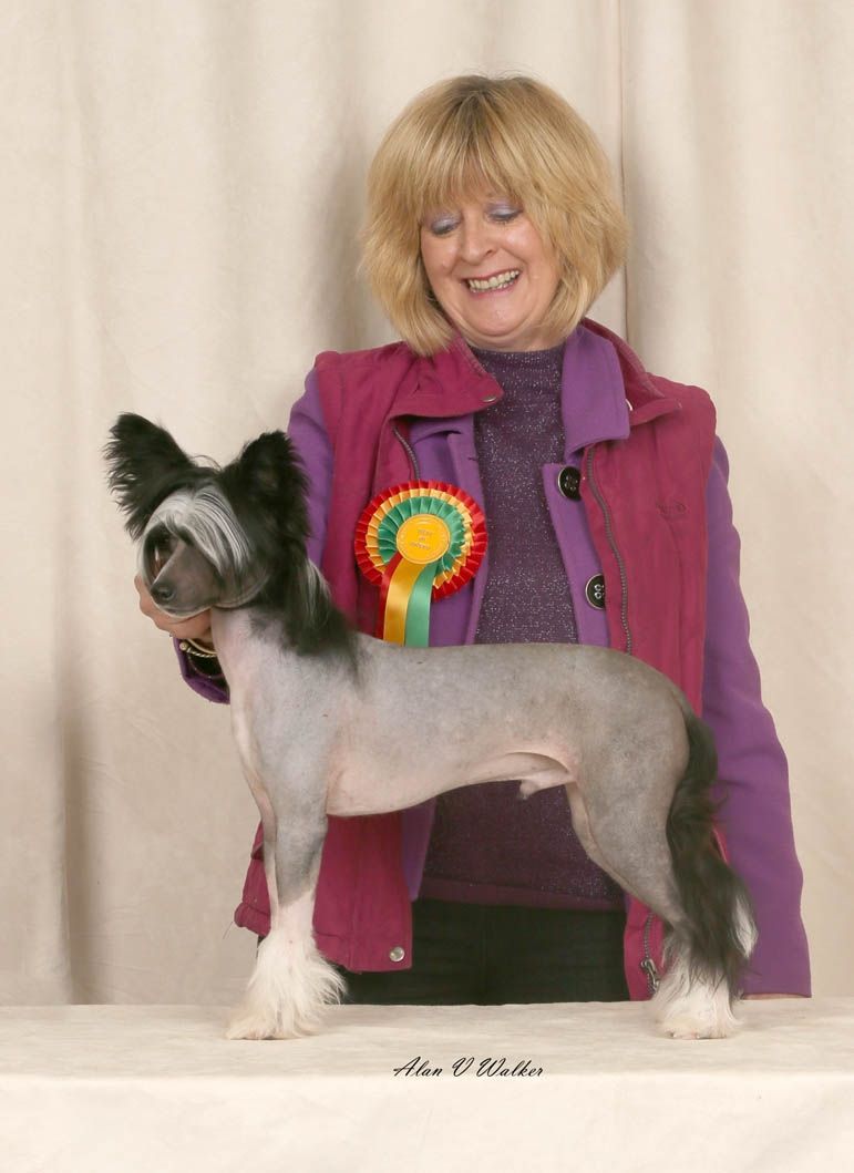 Konishiki L'Avventura