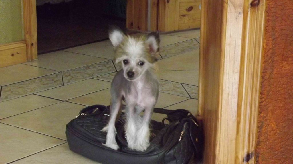 Catalina Chika von TAJA