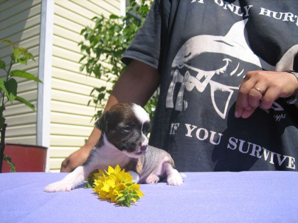 Aura Beauty Legatee of Trone