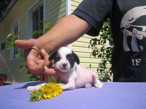 Aura Beauty Labyrinth to Success