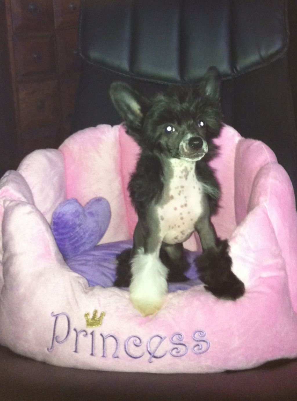 Yaquina's  Do Me A Favour