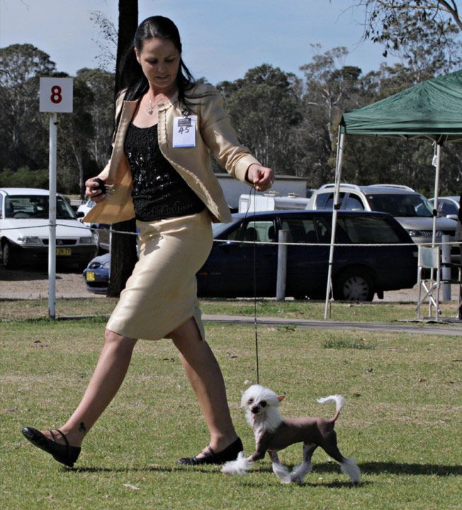 Karakush What Not To Wear