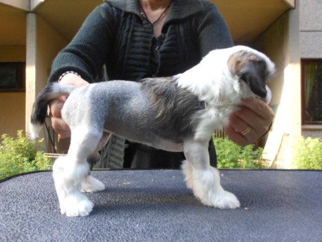 Magic'n Mystic Quite A DramaQueen