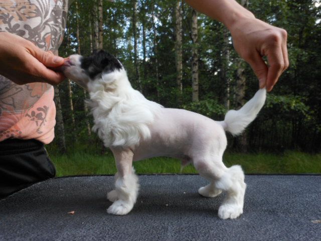 Magic'n Mystic Quite Dark In My Heart