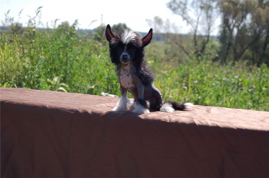 Yarkaya Jemchujyna East Sharm