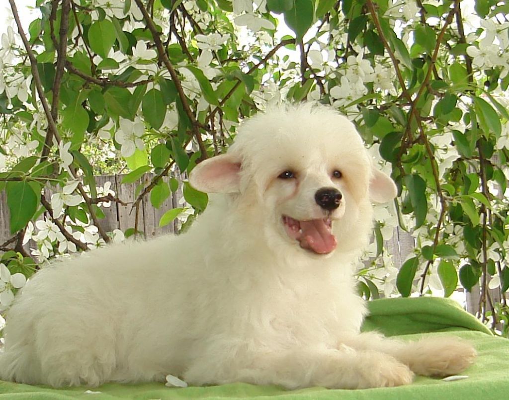 Naimuluna Line Holiday