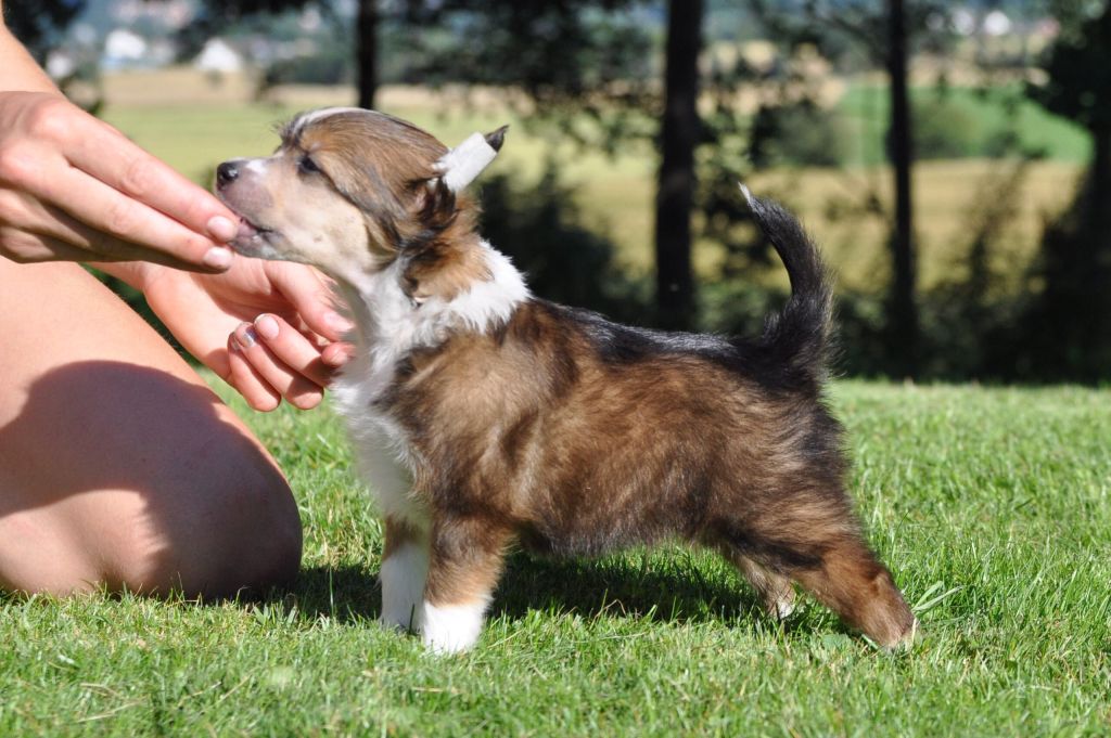 Blendverk's Circle In The Sand