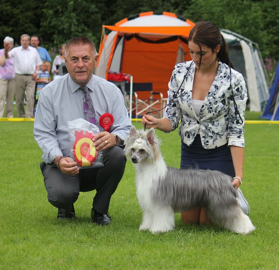 Blendverk's Concrete Jungle