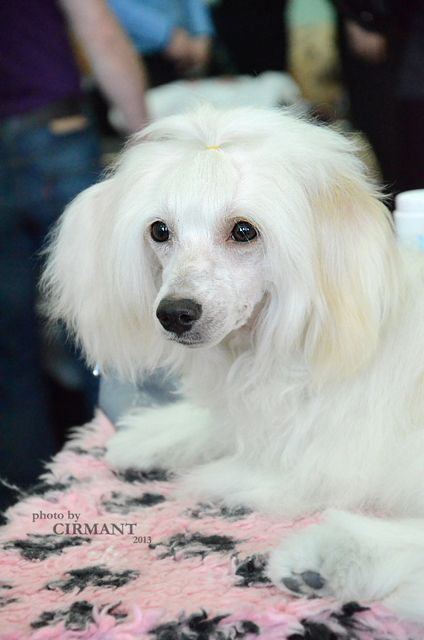 My Lucky Love Iliodor