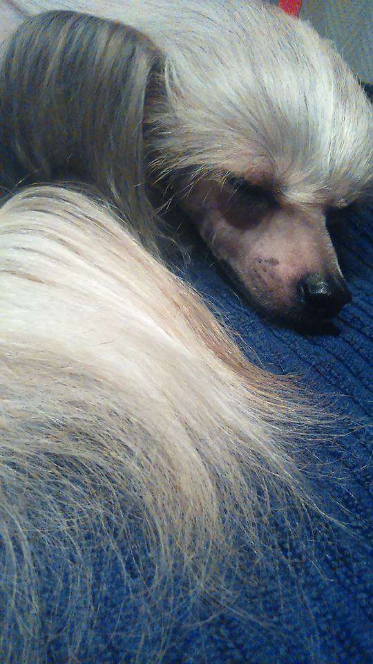 Kalimera's Crazy time in Tripoli