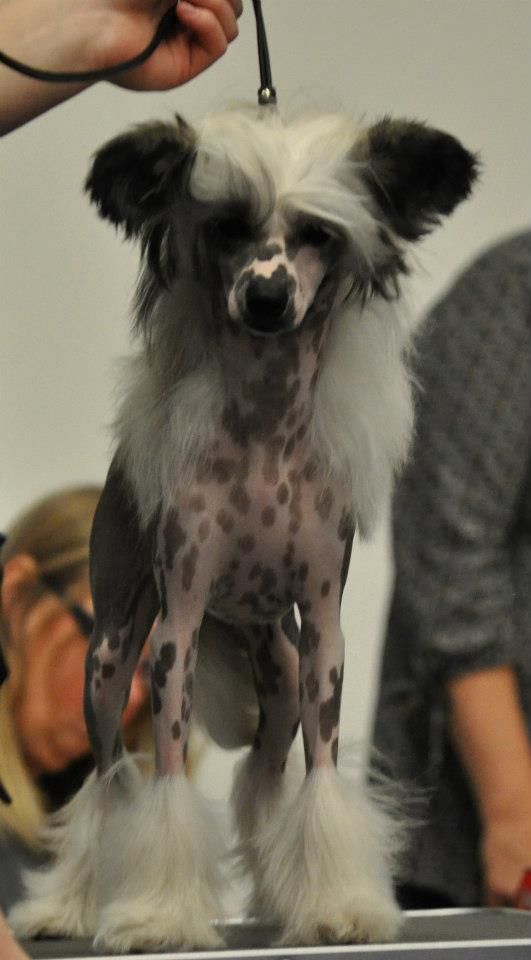 Kalimera's Wind in Wellington