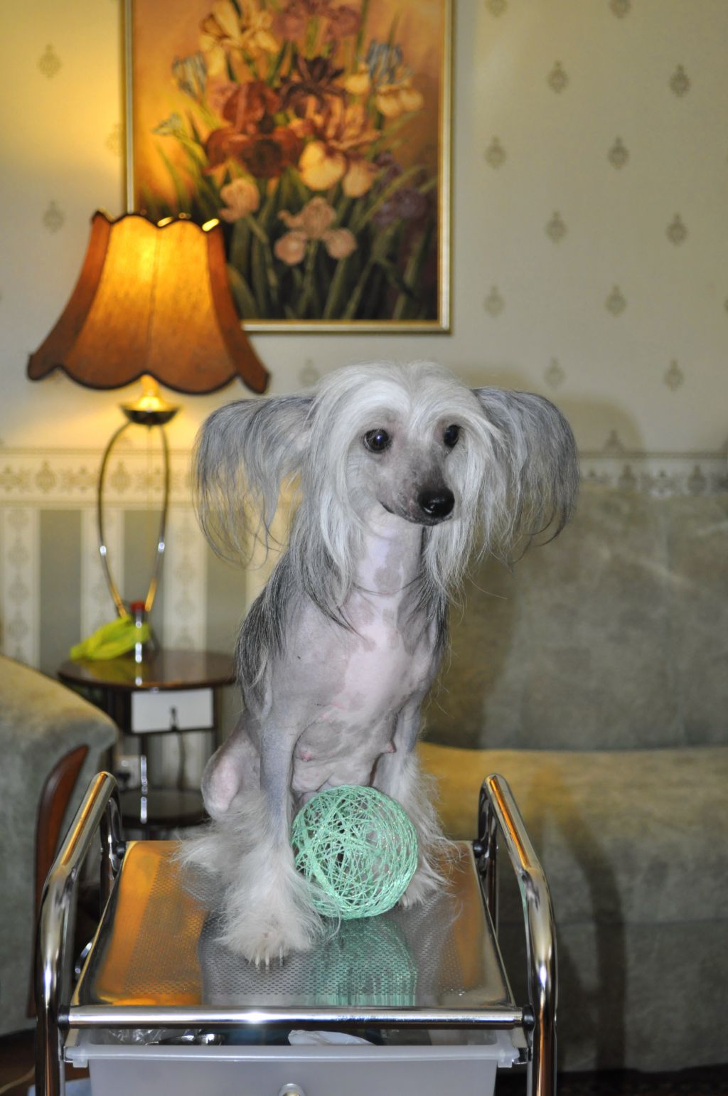 Fantastik Kashmir Omalia O*Key