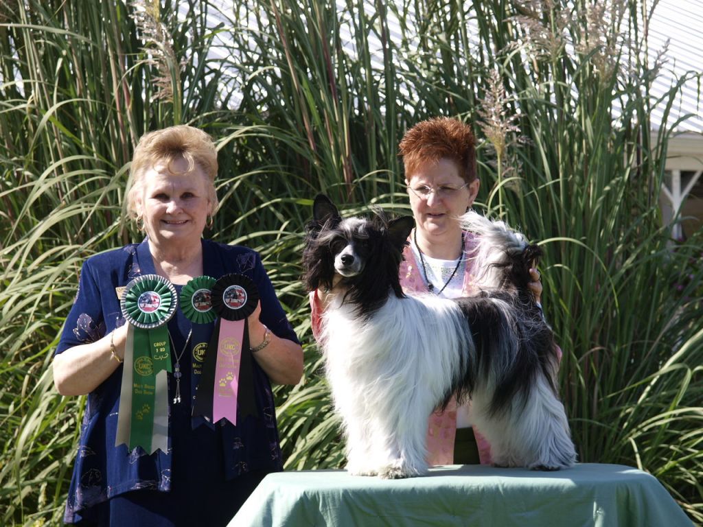 Zuo's such Sweet Thunder of Kyloe