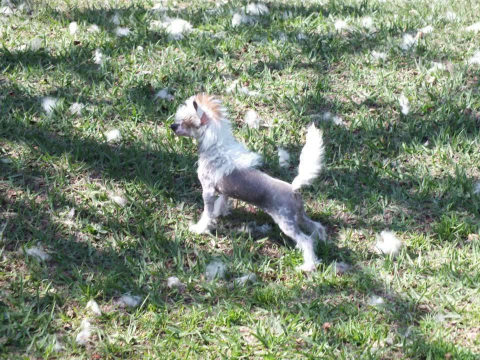 Eowin Praia do Sossego