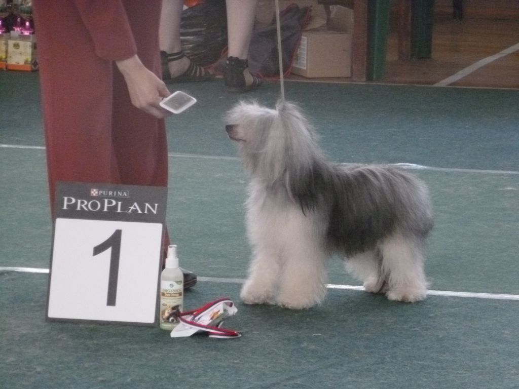 Lisette Lady In Love