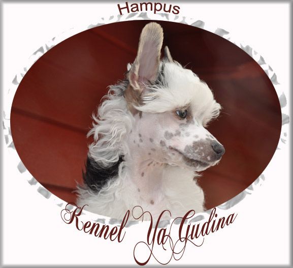 Yagudina Always on my mind