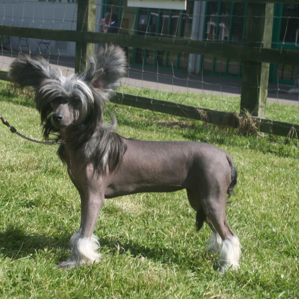 Habiba Put A Spell On You