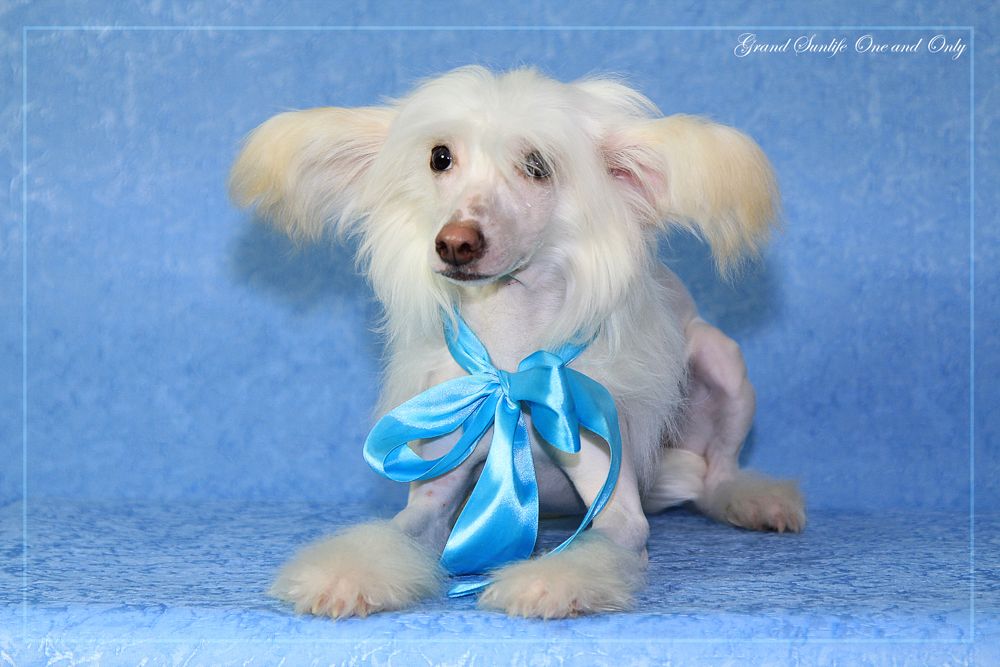 Grand Sunlife One and Only