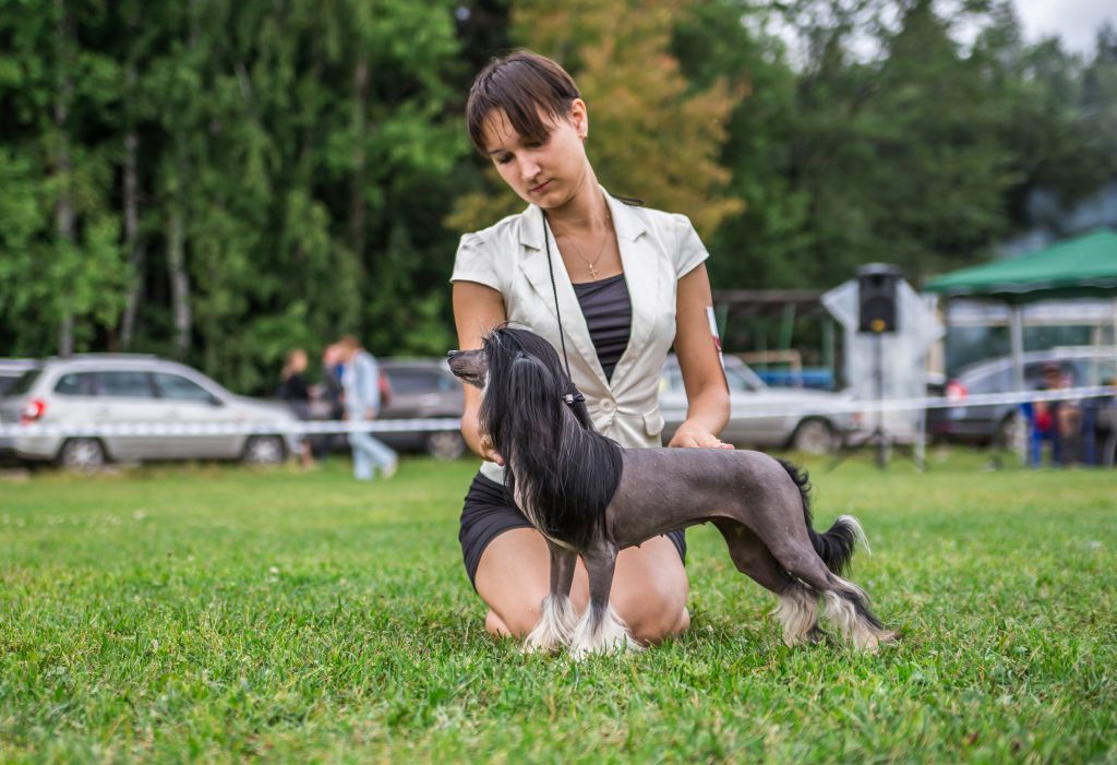 Grand Sunlife Or Noir Miss