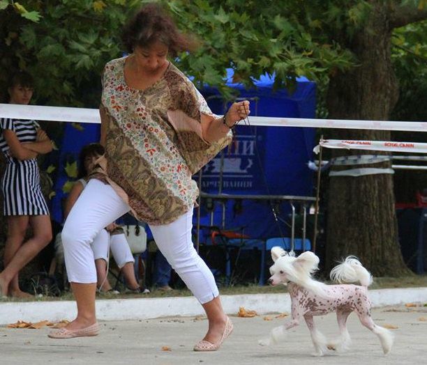 Ulard Dini Apriori Vip