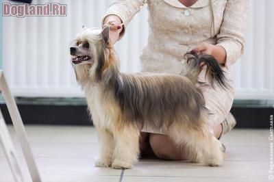 Olegro Katrin Iolanta