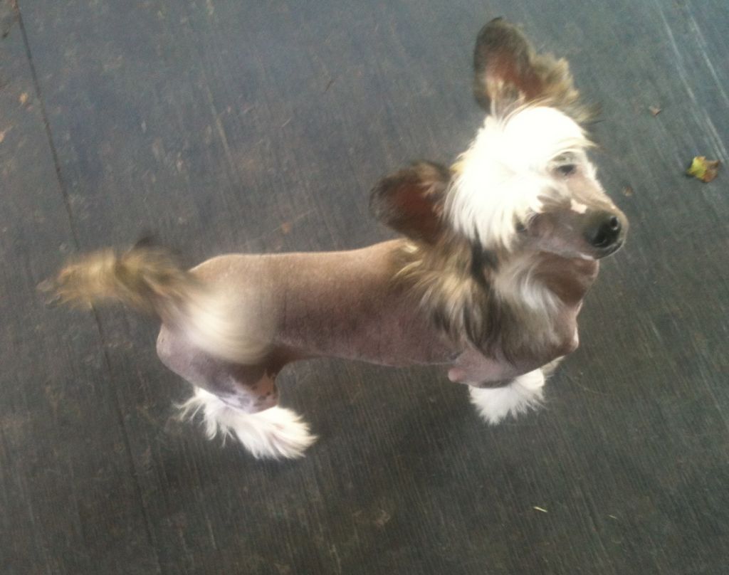 Sterling Ottum Stars from Hi-Life